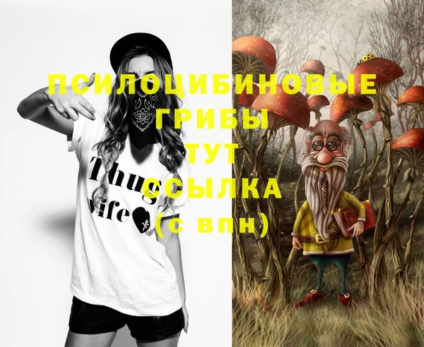 МДПВ Аркадак
